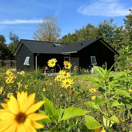 Idyllisk Nybygget Hus I Nordsjaellandsk Natur